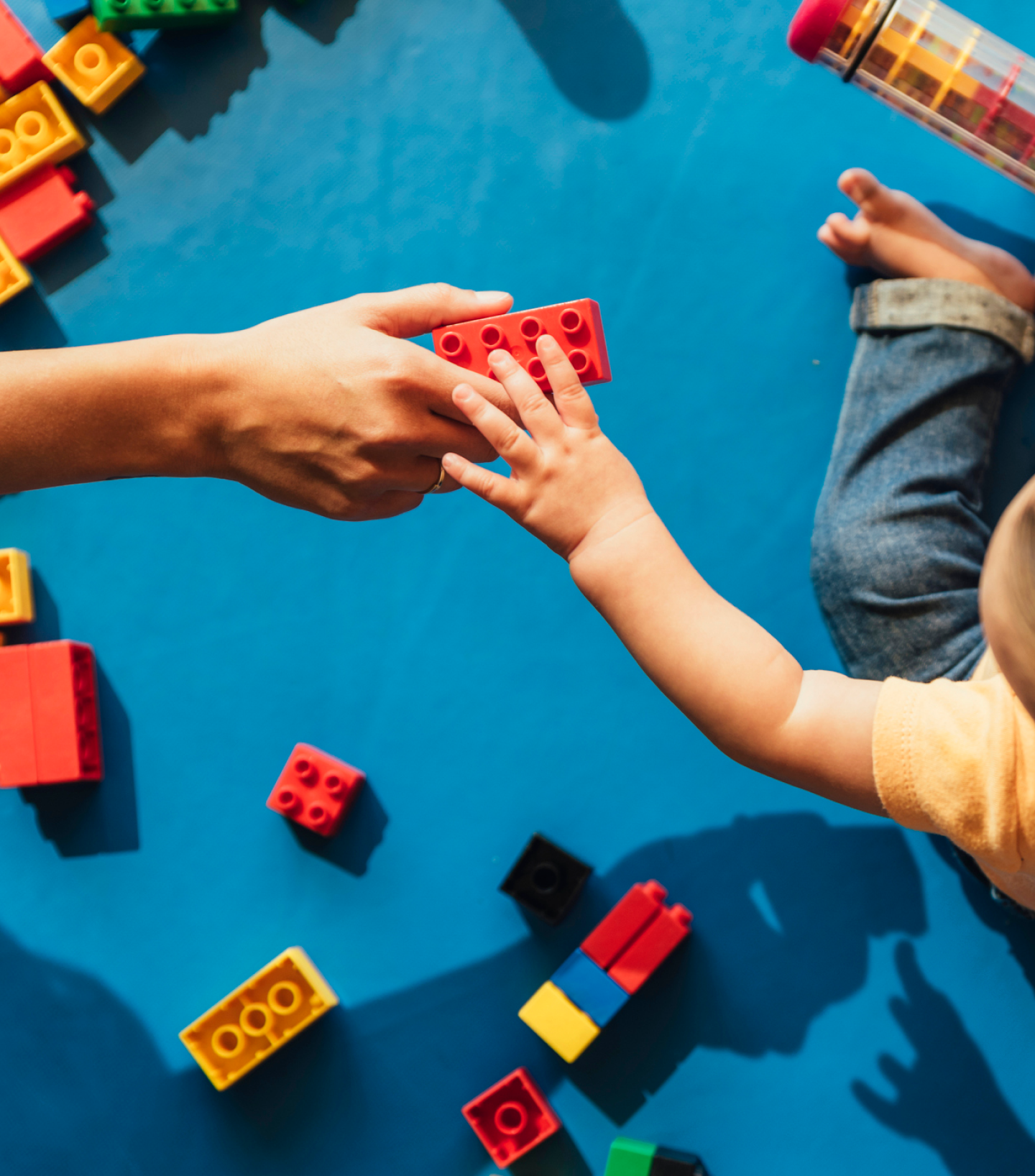 Grado unico. Curso Adaptación Magisterio Infantil