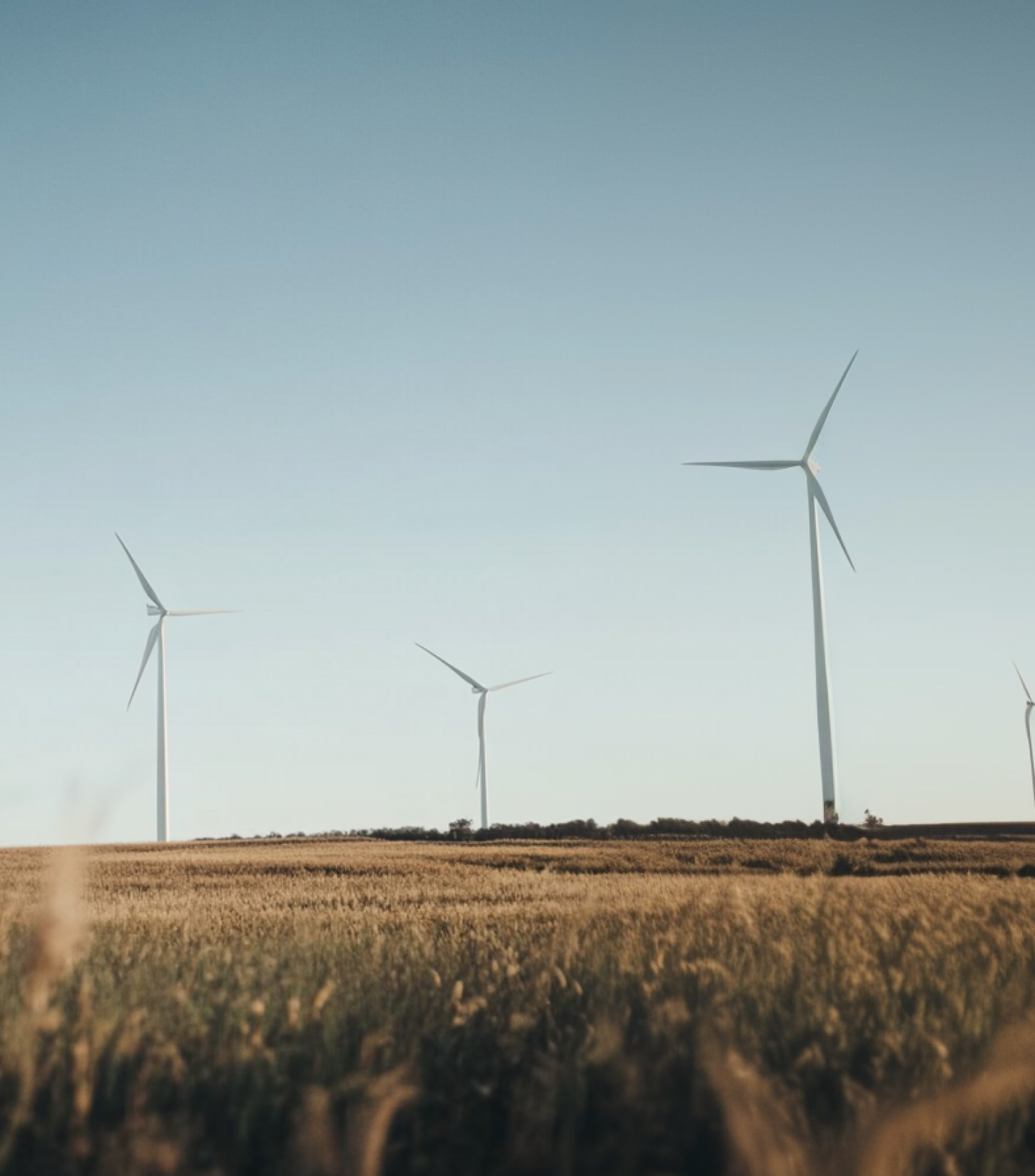 Energías Renovables