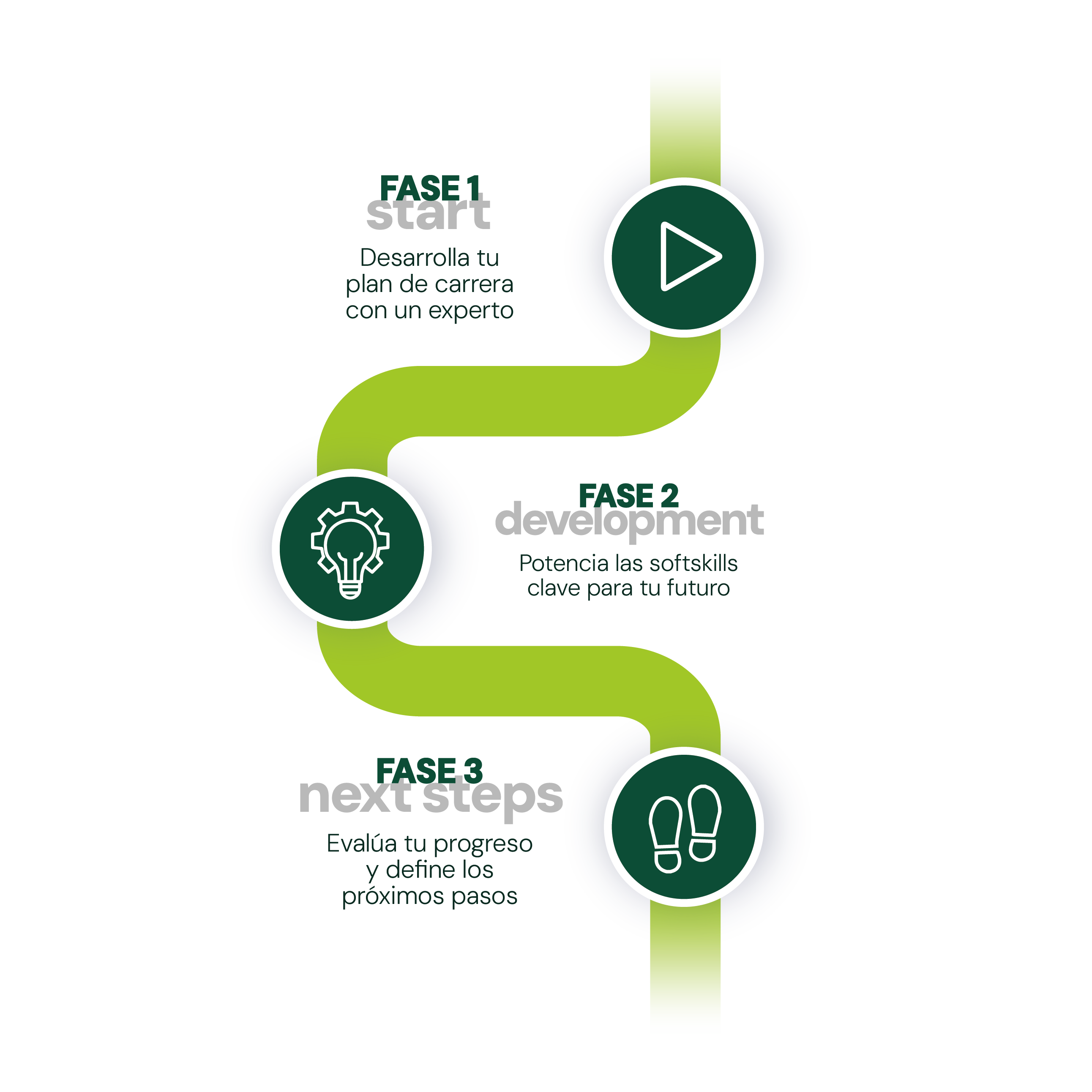 Infografía Raise Your Skills